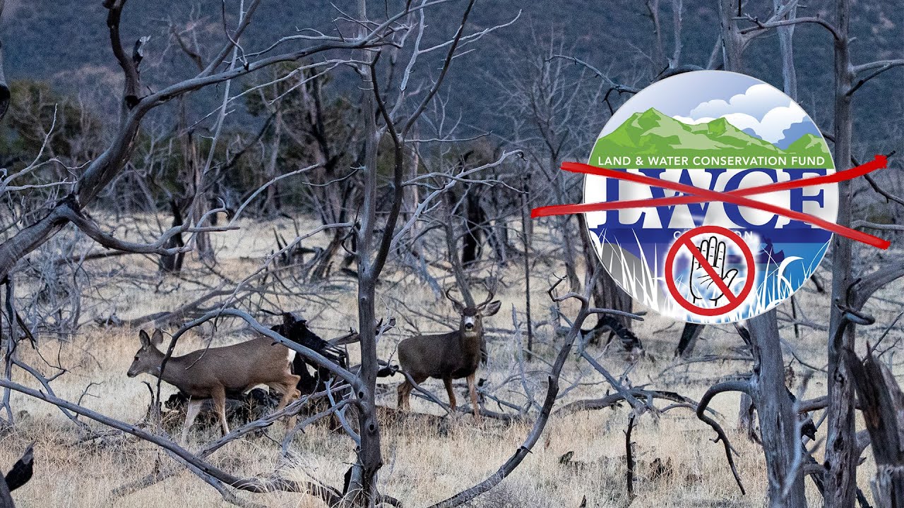 46,000 Acres of New Access Cancelled? | Fresh Tracks Weekly (Ep. 108)