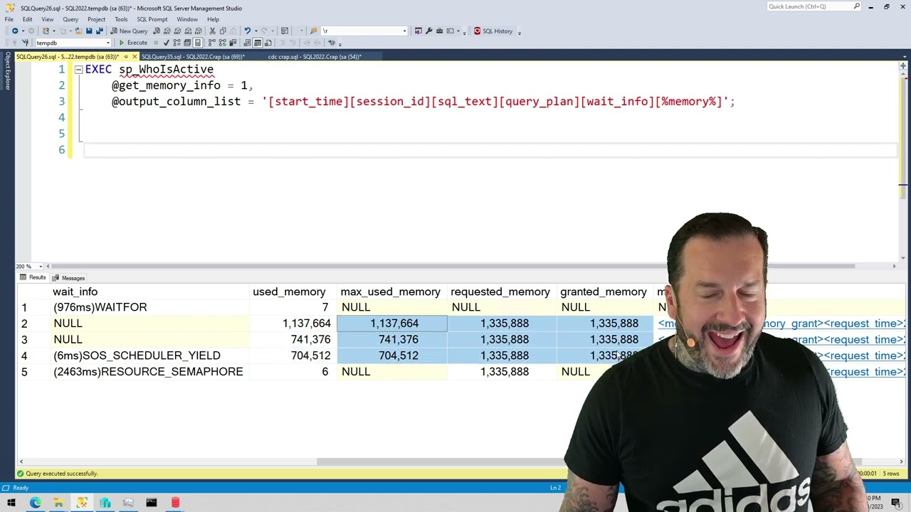 sp_WhoIsActive: Getting Memory Grant Details