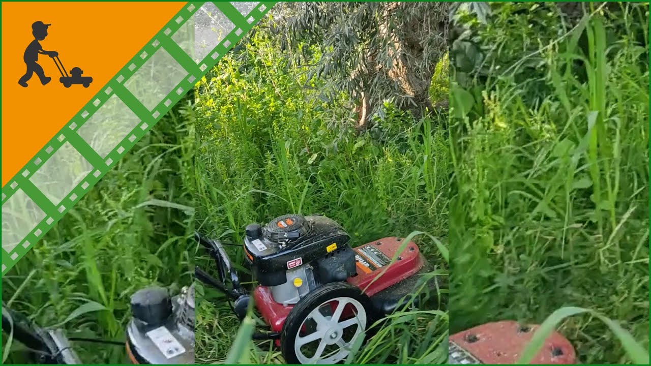 Decespugliatore a ruote a spinta Attila AXB 5616 F - motore a benzina 160 cc - falciatutto