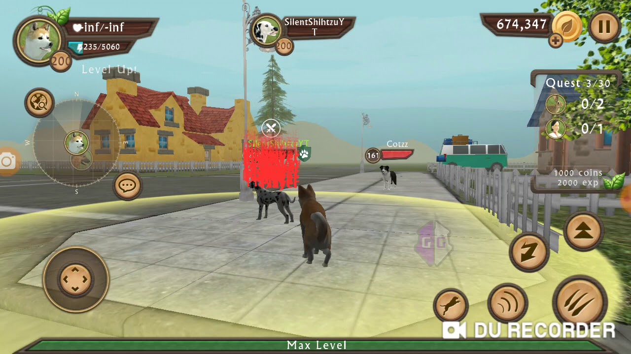 Playing with Bellashihtzu and hacks | Dog Sim Online