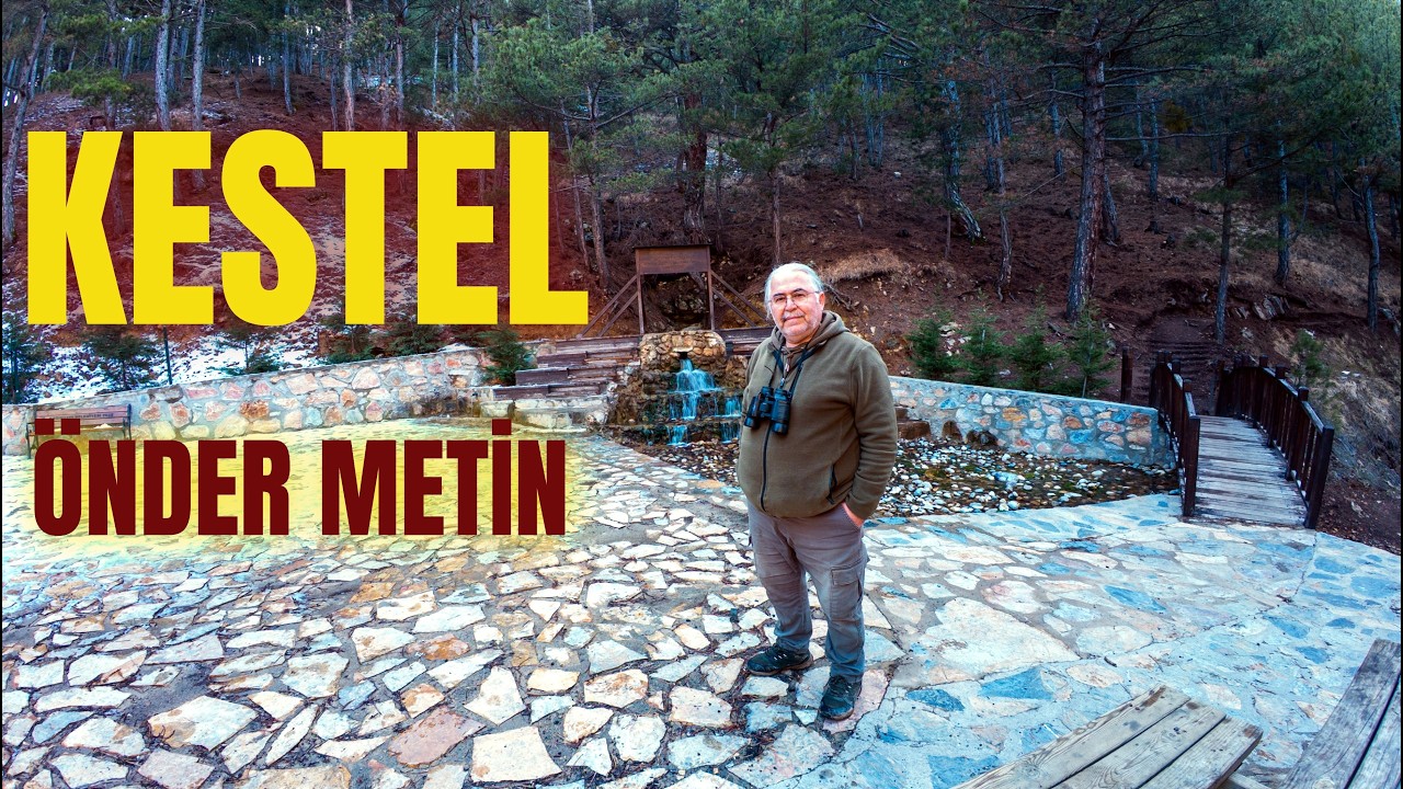 KADINHANI KESTEL ORMANLARI, GÖLETİ - ÖNDER METİN