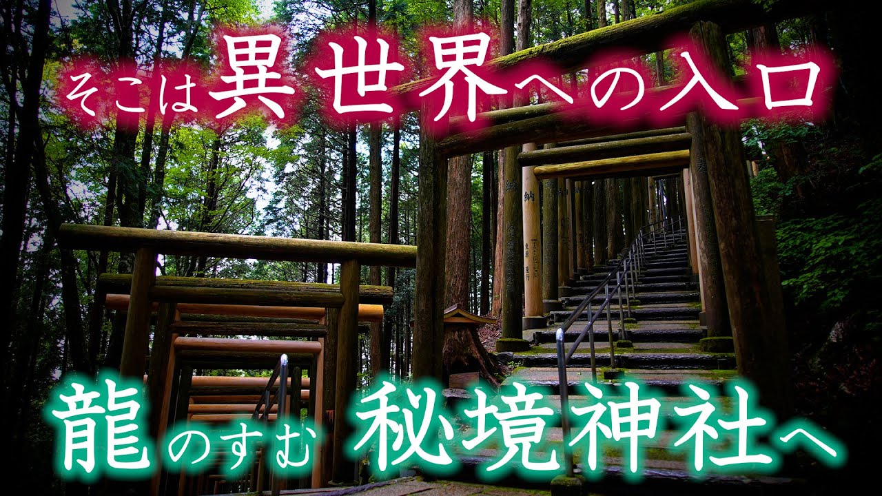 【異界の秘境神社へ】まさに異空間　数えきれない鳥居が立ち並ぶ神秘の神社へご案内いたします