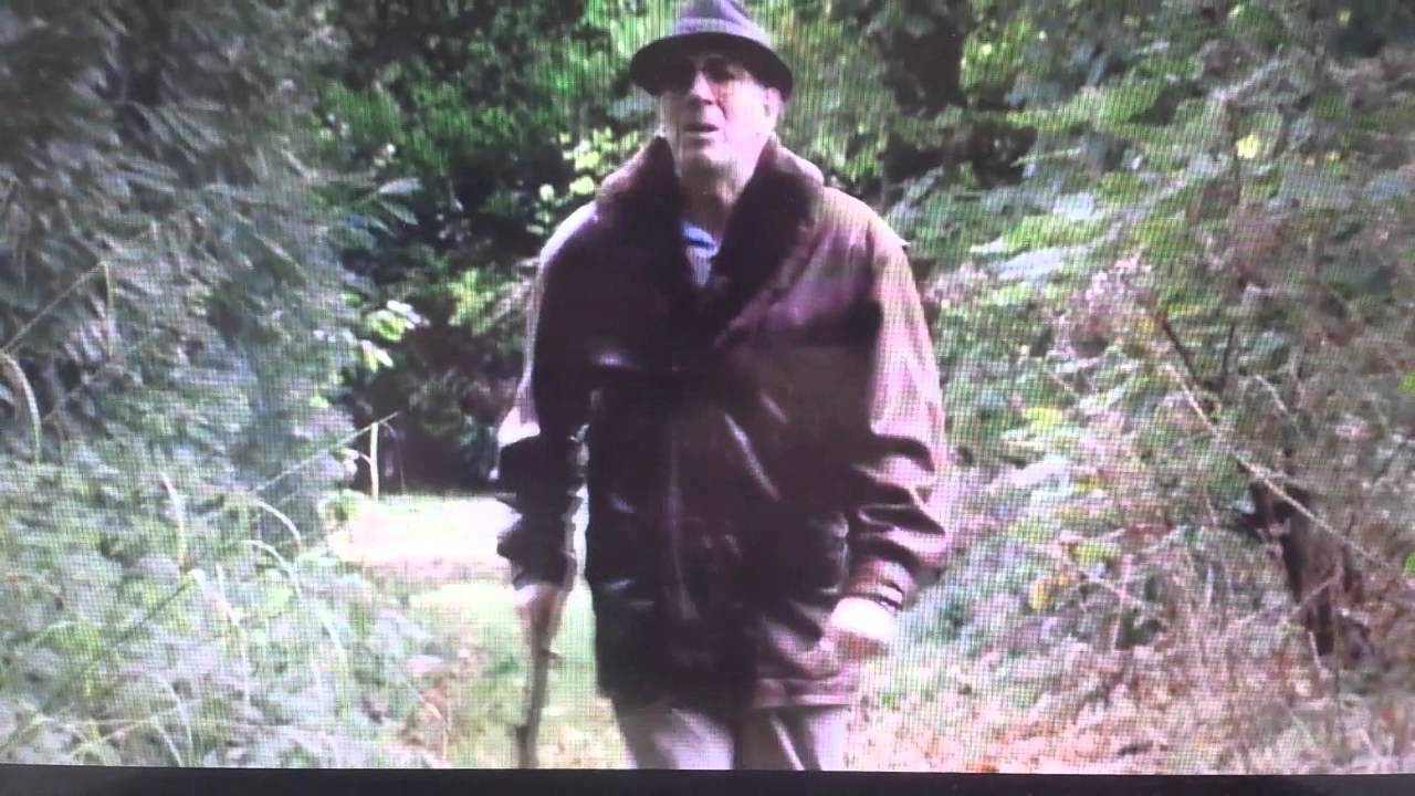 Eco Warrior Dave Angel - Fish & Chips [Fast Show]