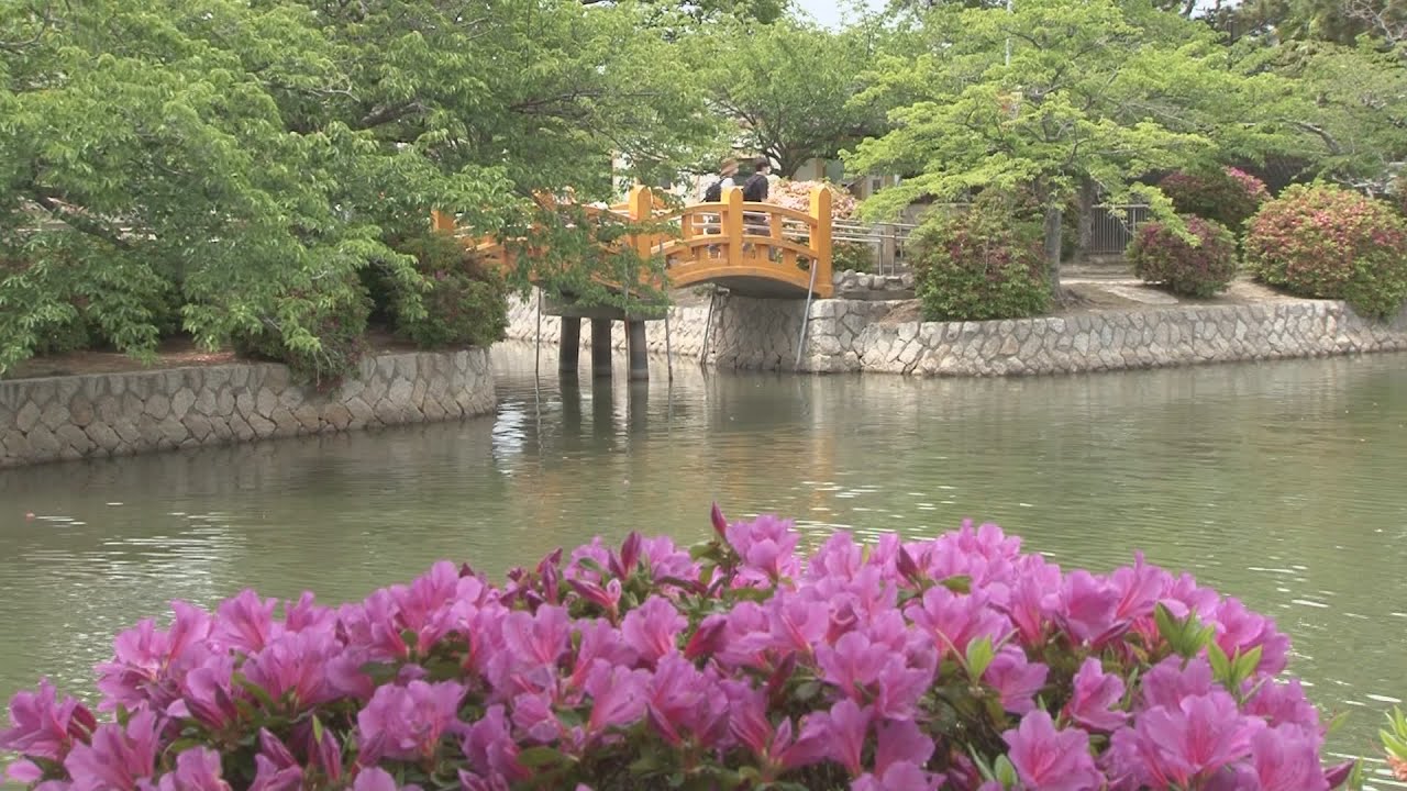 つつじまつり