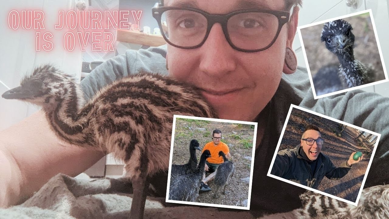 Our EMU JOURNEY is OVER...