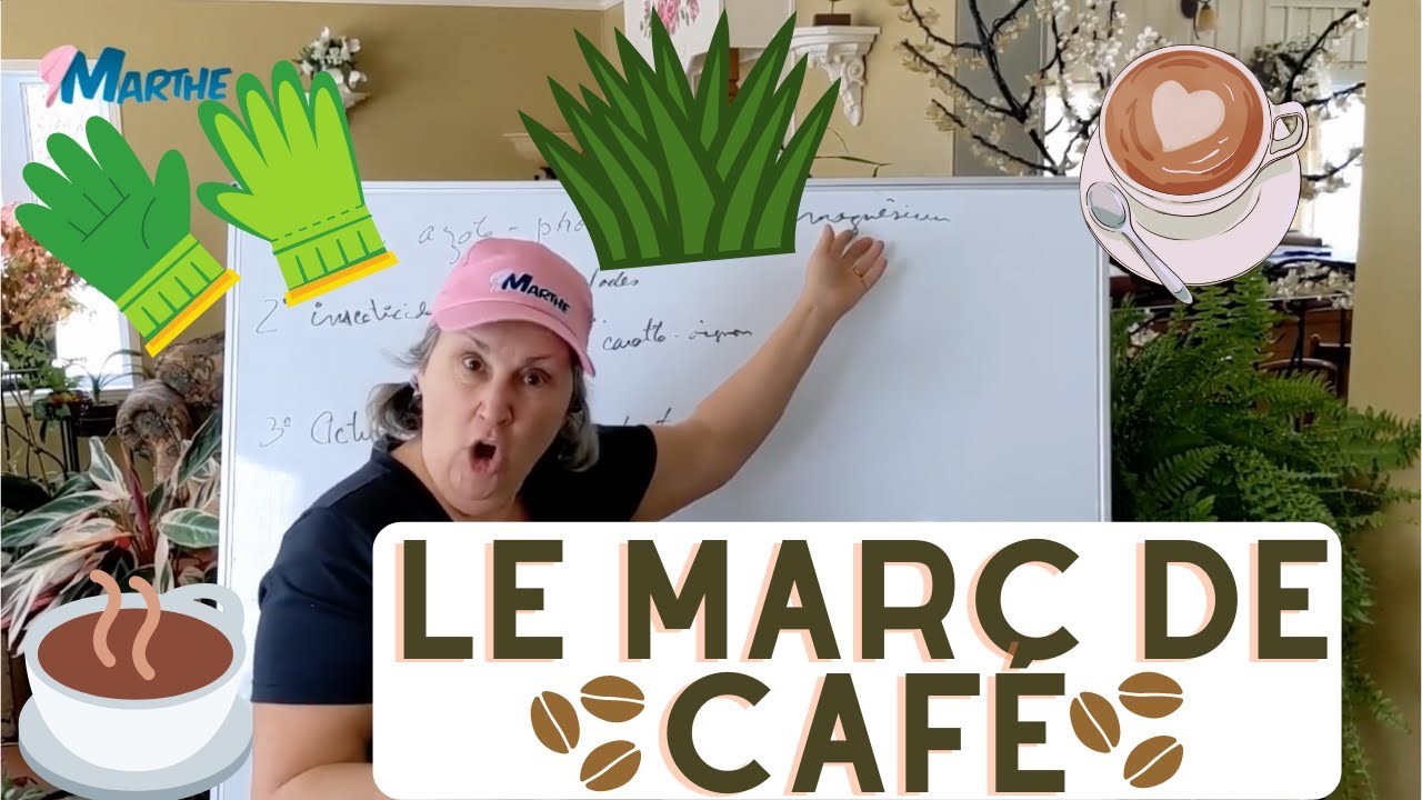 Le marc de café, à quoi ça sert dans un jardin? - capsule horticole