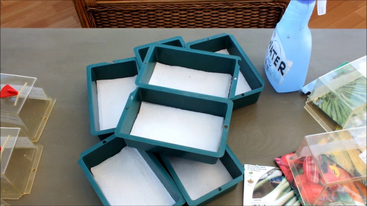 How to do your own seed germination trial, start to finish.