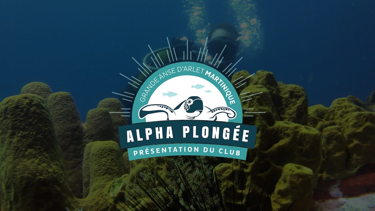 Alpha Plongée Martinique : présentation du club