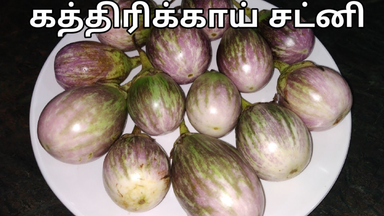 சுவையான கத்திரிக்காய் சட்னி | Brinjal Chutney recipe in tamil | Kathirikai Chutney recipe | KFS | 21
