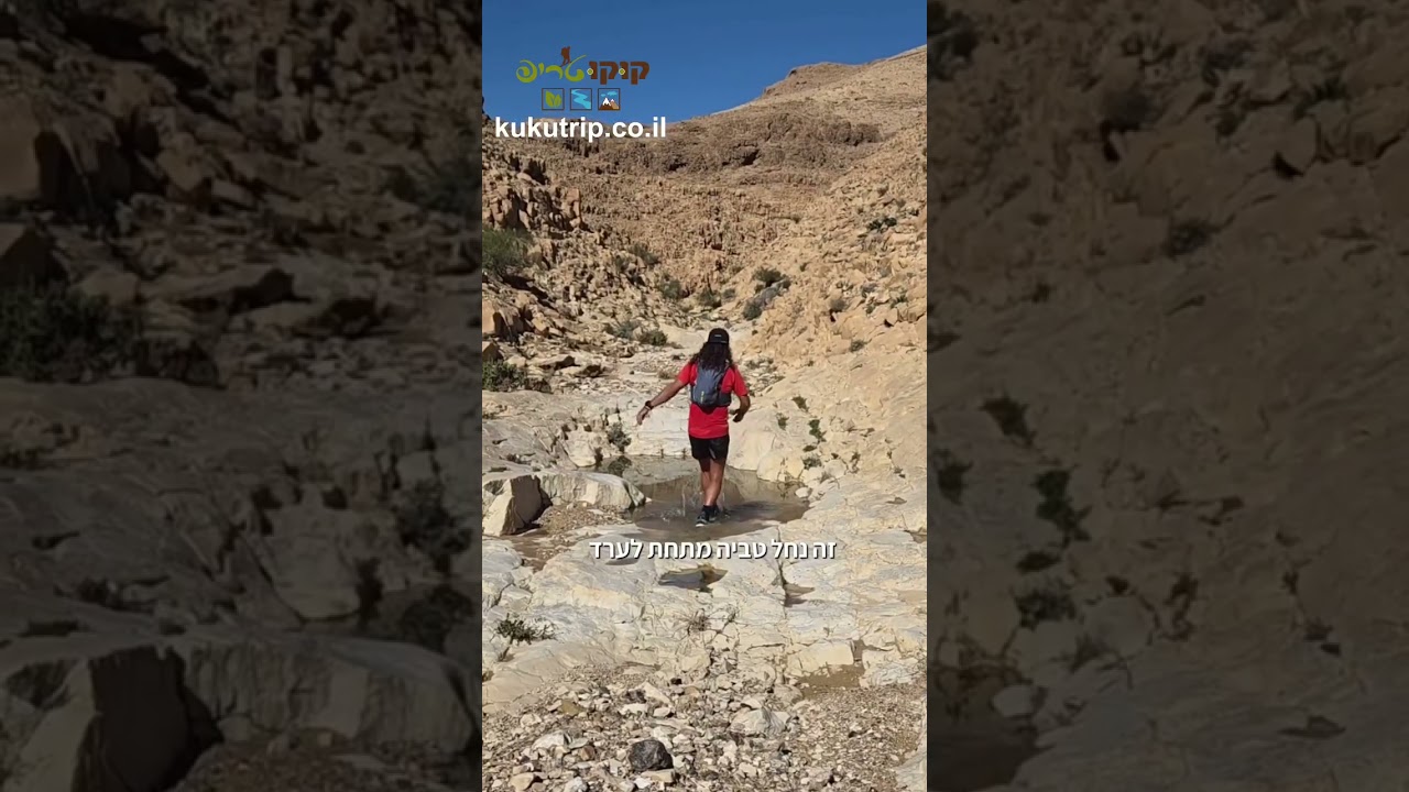 קוקו 🐓 טריפ בנחל המדברי שמלא במים, נחל טביה מתחת לערד, איזו חגיגה, פרטים בתאור