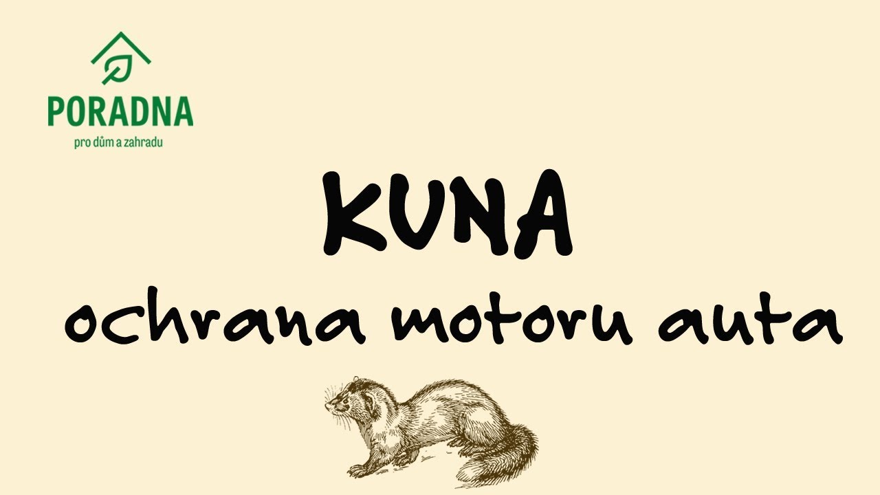 PORADNA PRO DŮM A ZAHRADU - Kuna - ochrana motoru auta