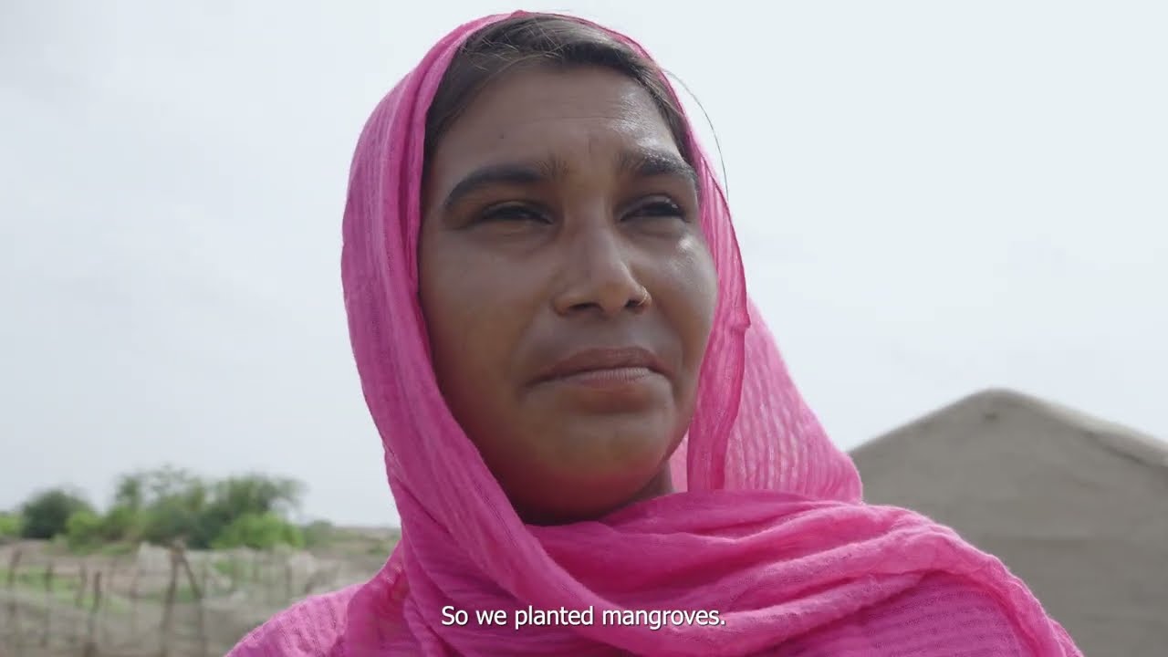Climate Guardians: The Women Championing Climate Resilience in Pakistan