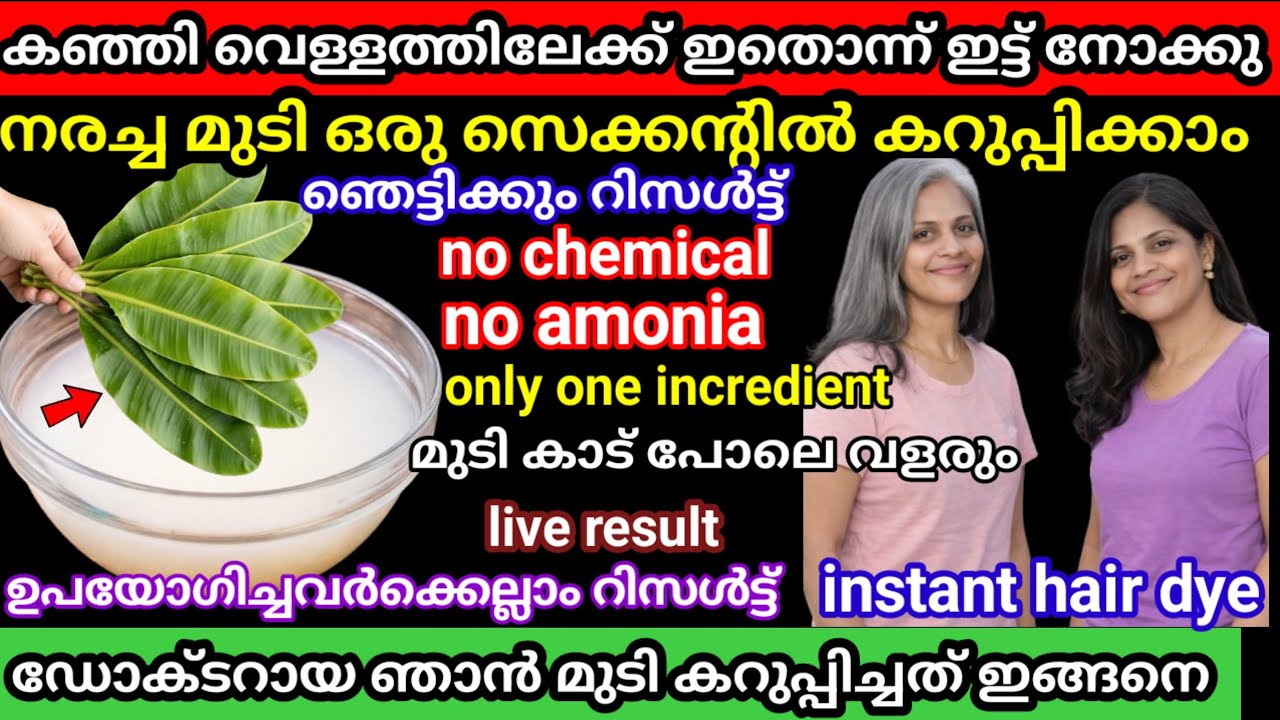 കഞ്ഞി വെള്ളത്തിലേക്ക് ഇതൊന്ന് ഇട്ട് നോക്കു നരച്ച മുടി ഒരു സെക്കന്റിൽ  കറുപ്പാക്കാം/ viralinstantdye 