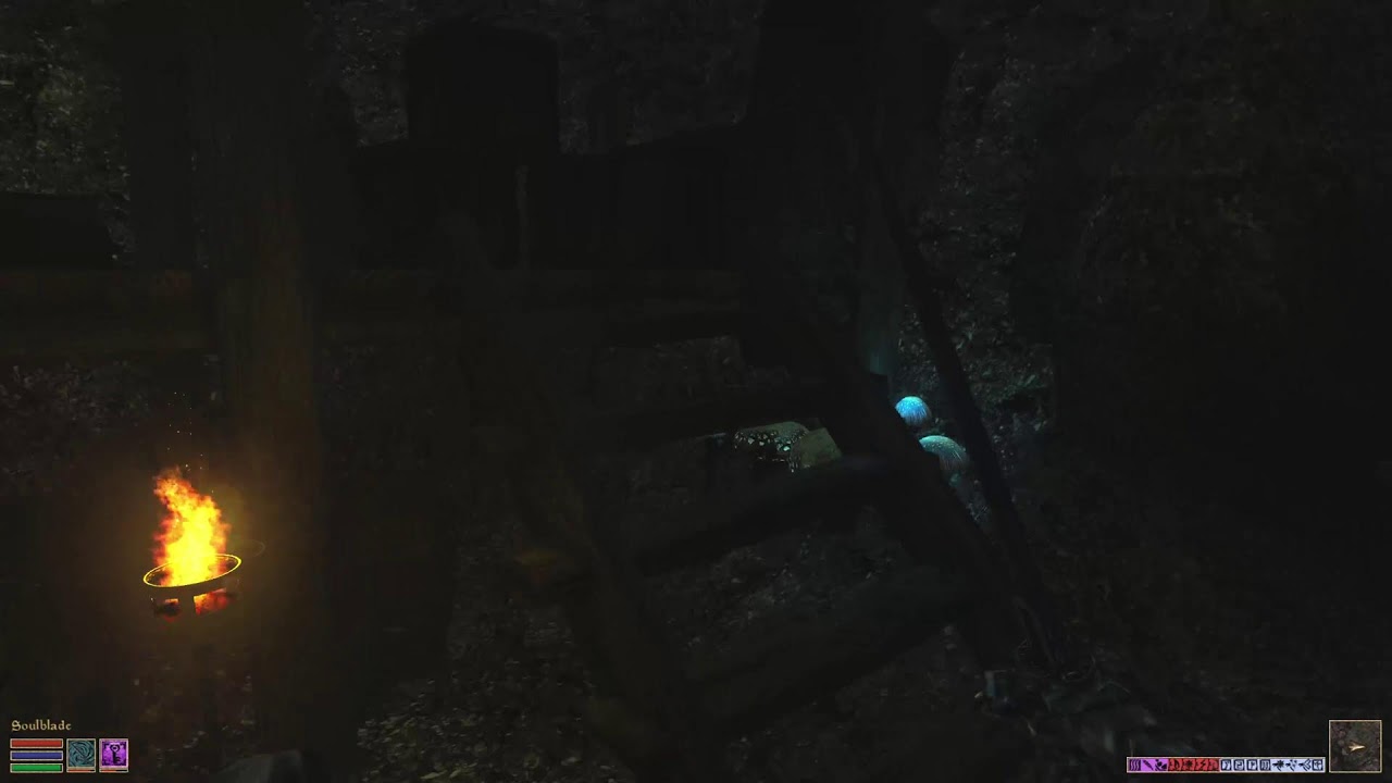 The Elder Scrolls III: Morrowind (OpenMW, TR+Project Cyrodiil)(No Voice Chat).
