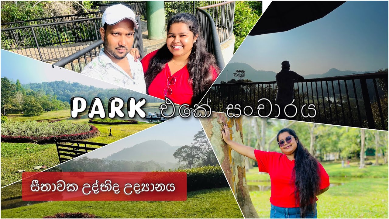 ඒක ලස්සන දවසක් | නිවාඩු දවසක අපි ගියපු සංචාරය ♥️😍 | සීතාවක උද්භිත උද්‍යානය 🌿🤍🌤 (Video 04)