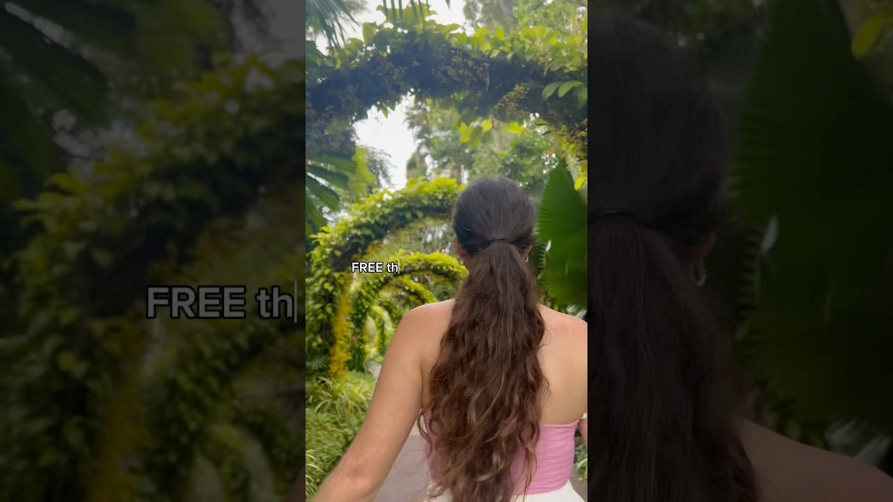 FREE things to do Singapore *Botanic Gardens