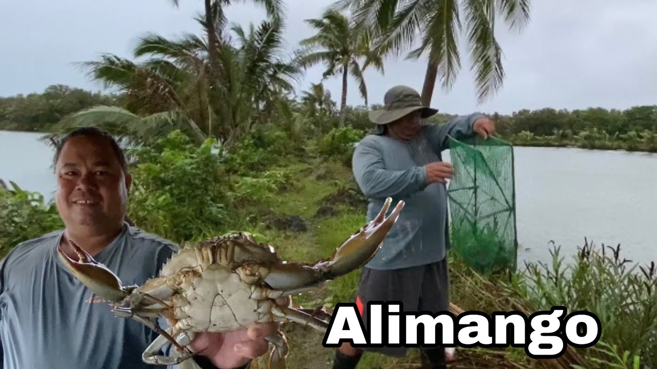 Maraming huling Alimango vlog916