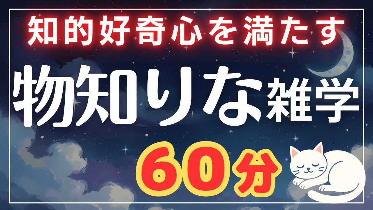 【知らないと損】聞くだけで知的好奇心が満たされる大人の雑学60分【睡眠導入】