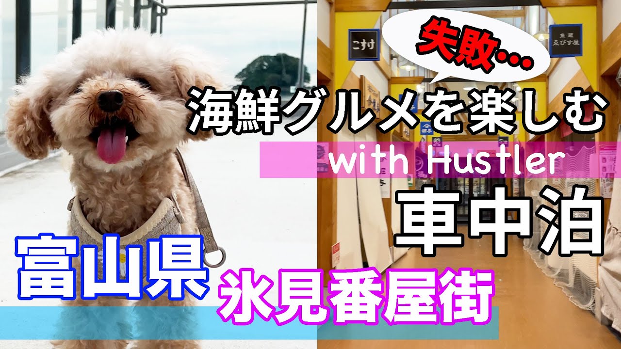 氷見番屋街で愛犬と車中泊（前編）。海鮮グルメを楽しむつもりが…