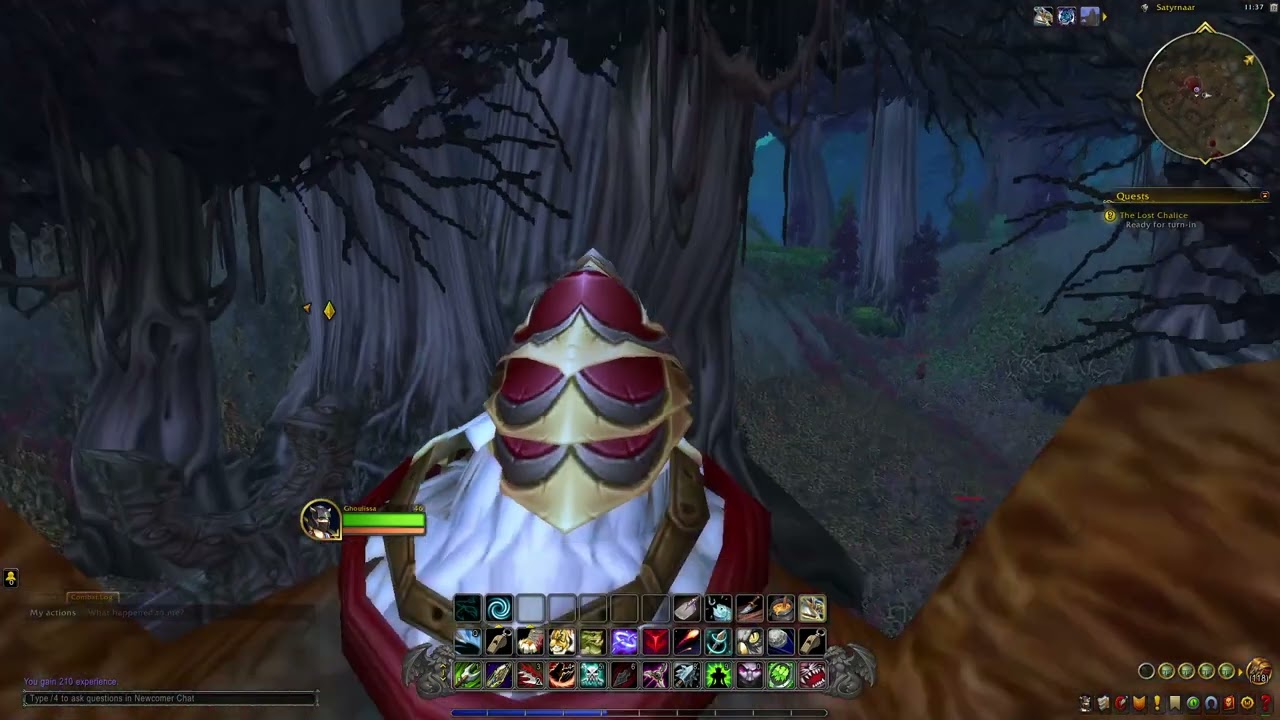 World of Warcraft | Alliance Quests - The Lost Chalice