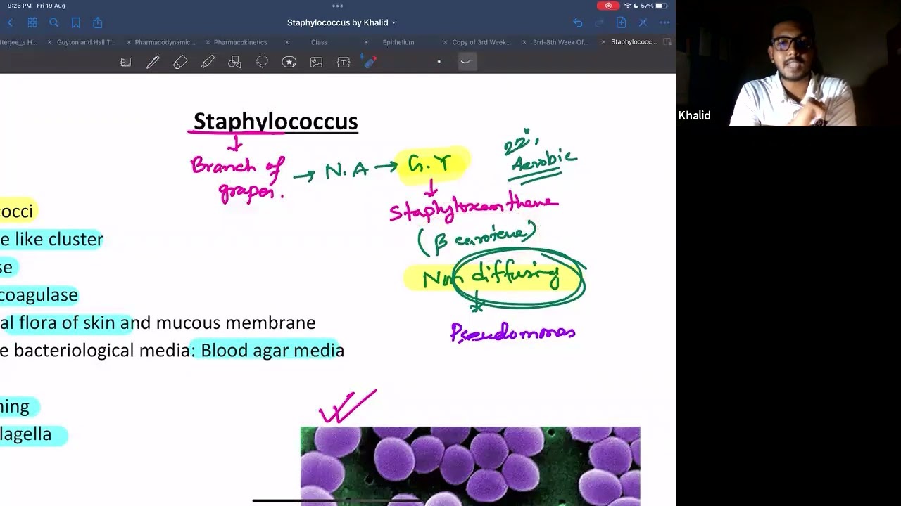 Staphylococcus।। Microbiology।। Khalid Mustakim
