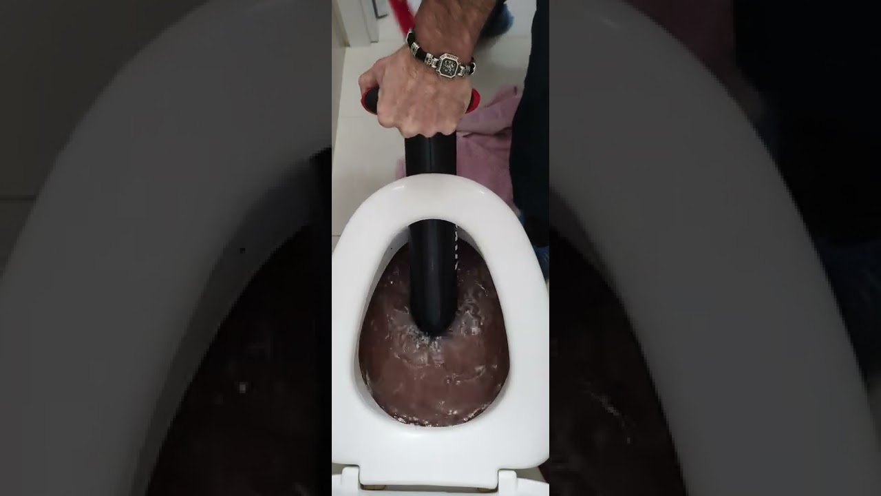 Засор унитаза.