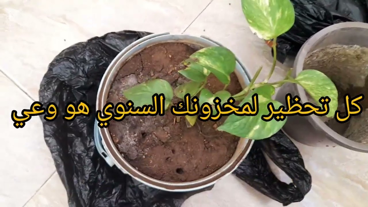 قبل كل شيئ  🫸لابد أن  أخبركم ✍️🍁مايحدث خطير جدا 🚨مابين الإقتصاد  والازمات الأخلاقية 🤔أين نحن🙄