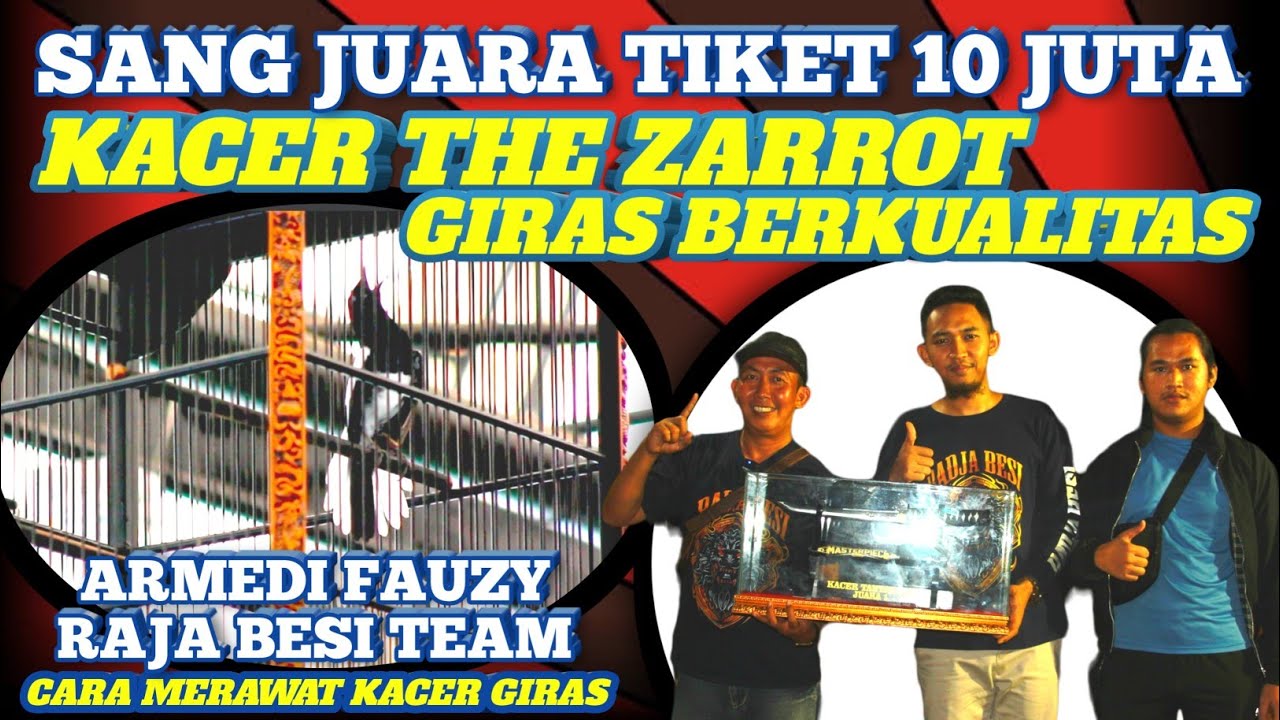 🔥TIKET 10 JUTA 🔥❗ RAWATAN KACER GIRAS THE ZARROT | KACER KELAS TANTANGAN MASTERPIECE ARENA