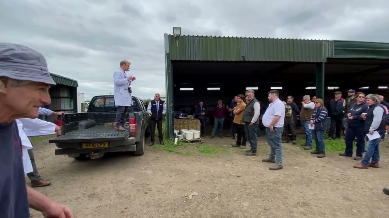 Celebrating a Successful Farm Sale! 🌾🐑