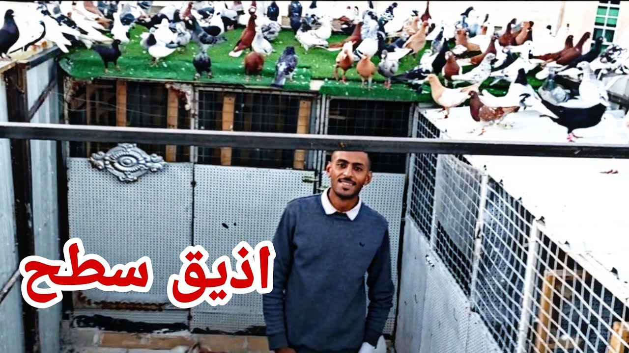 اذيق سطح عند اخونا فادي الخطيب وحمام قويه ومكان روعه