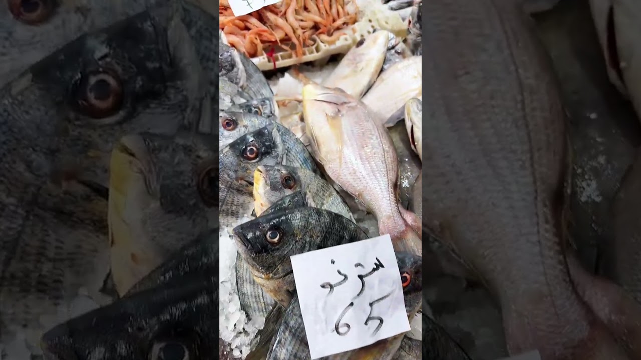 أثمنة السمك 🦐 اليوم الأحد 18 يناير 2026 