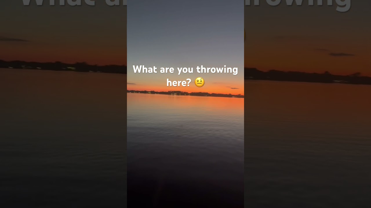 Which lure? 