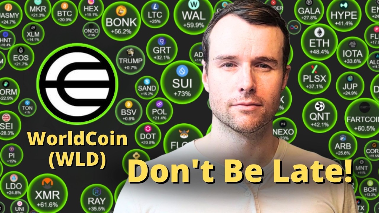 🎯 Watch This Before You Buy WorldCoin - Essential Data