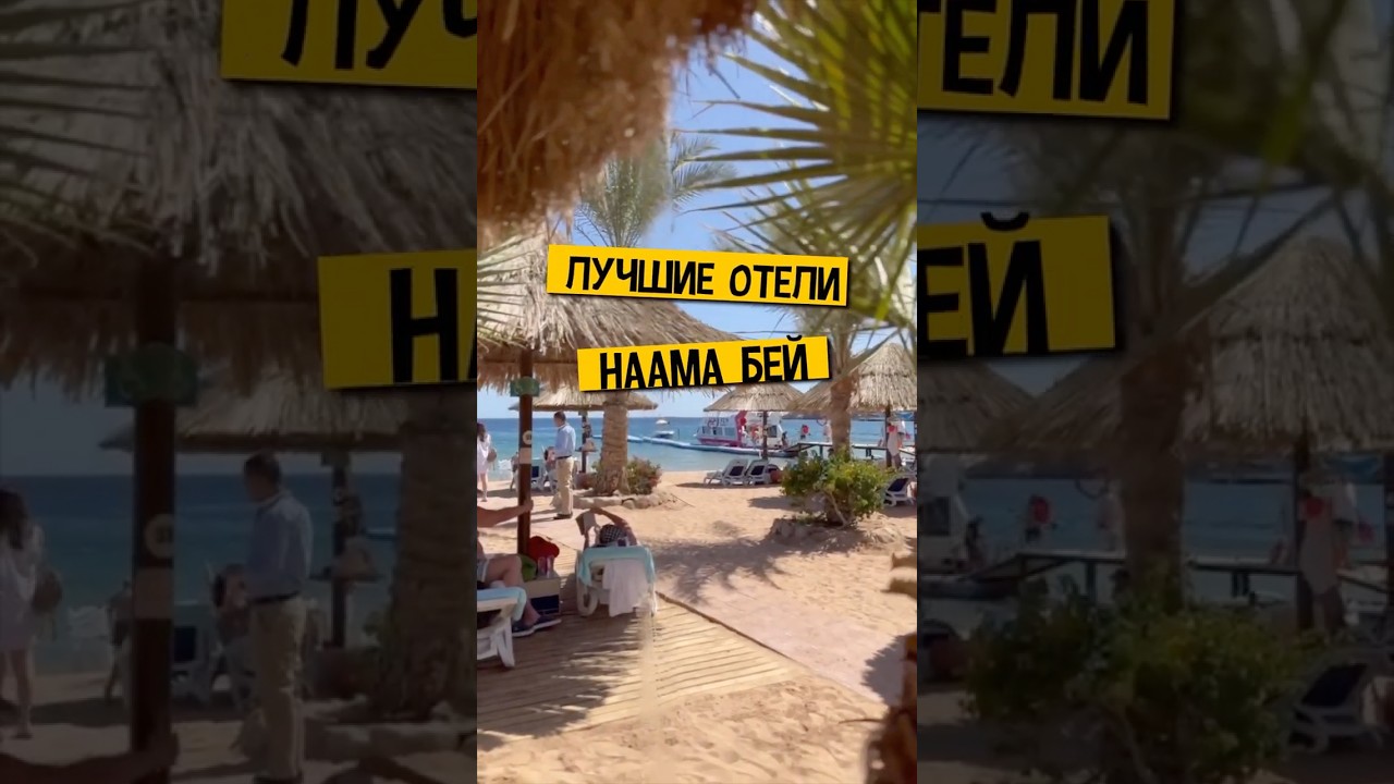 ✈️ Летим в Египет 🏝️ Лучшие отели в Наама Бей #travelvlog #отдыхвегипте