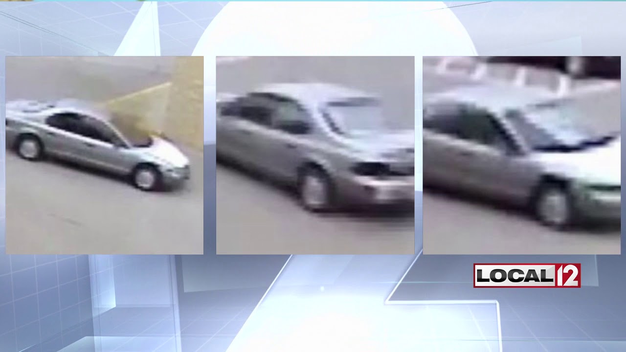 Delhi Township Police search for road rage driver