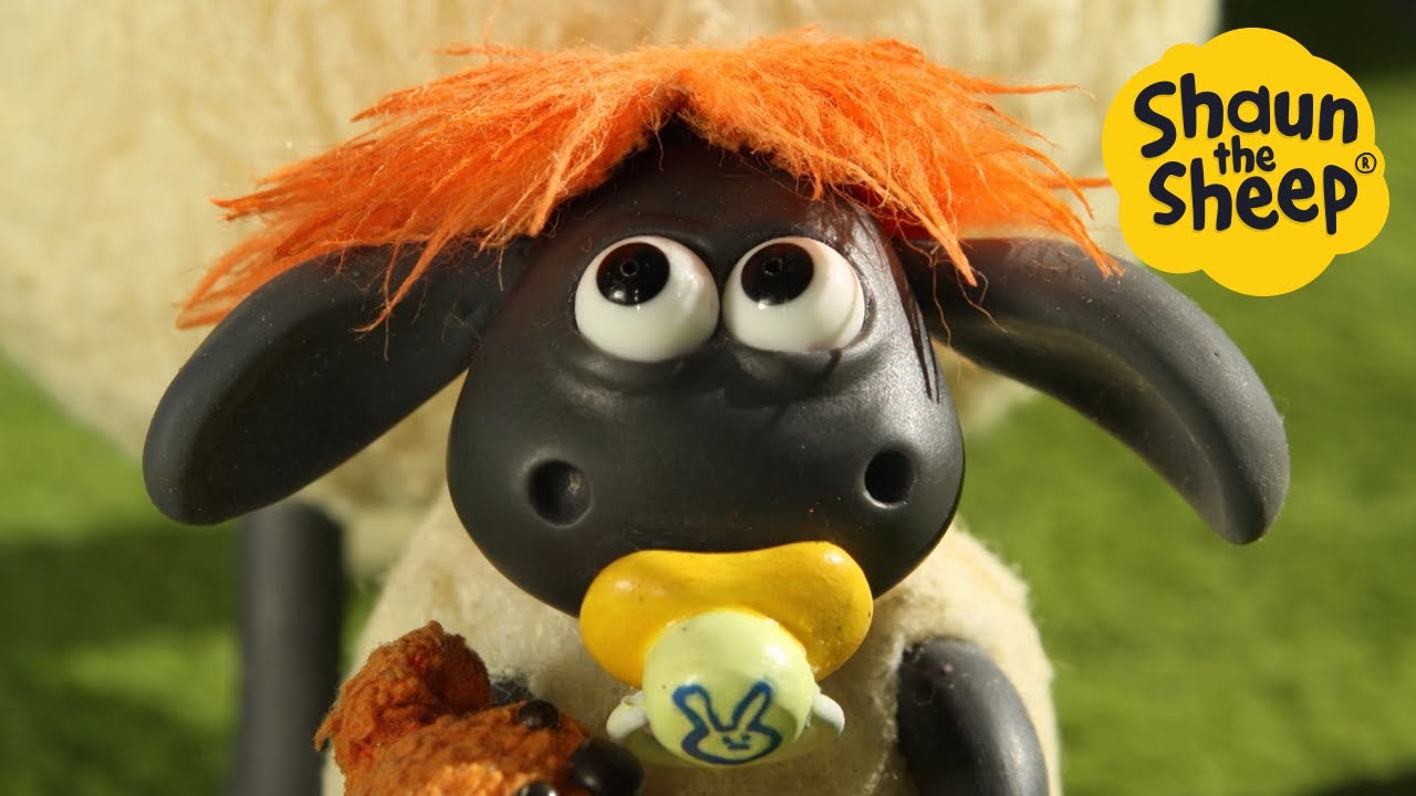 Shaun the Sheep 🐑 Timmy Haircut - Cartoons for Kids 🐑 Full Episodes Compilation [1 hour]