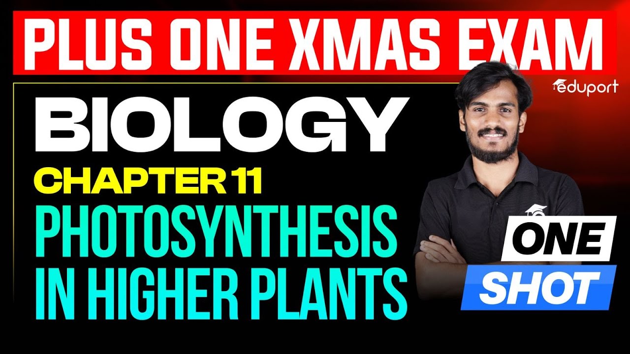 Plus One Biology Photosynthesis in Higher Plants Chapter 11 Christmas Exam 2025 | Eduport Plus One