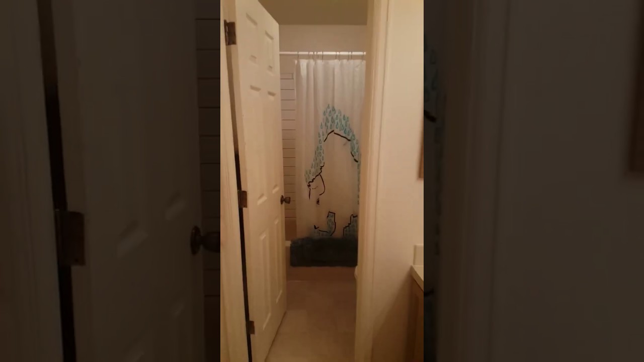 Great 2 Bed, 2 Bath Condo in Central Fort Collins-Windmill Drive Video 1 of 2