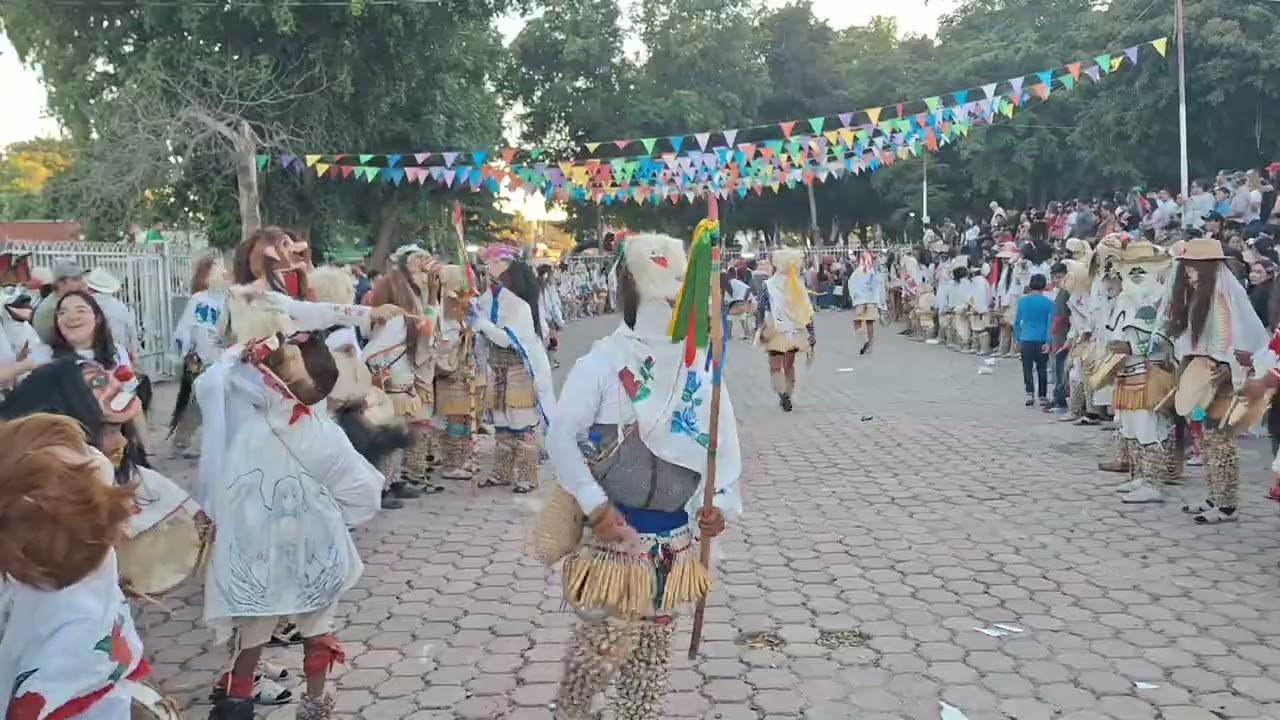 Judios de mochicahui 2026 tarol