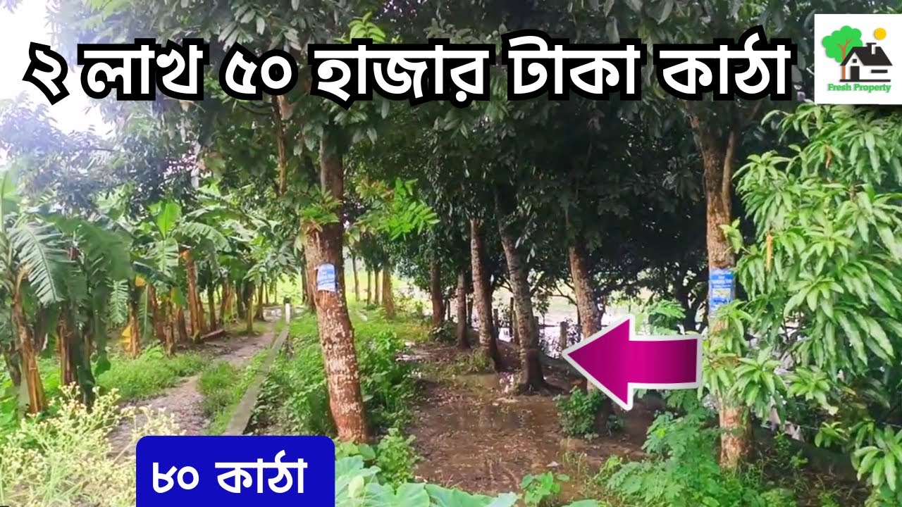 Fp - 1405 | হাইওয়ের কাছে সস্তায় জমি | 9073 145 145