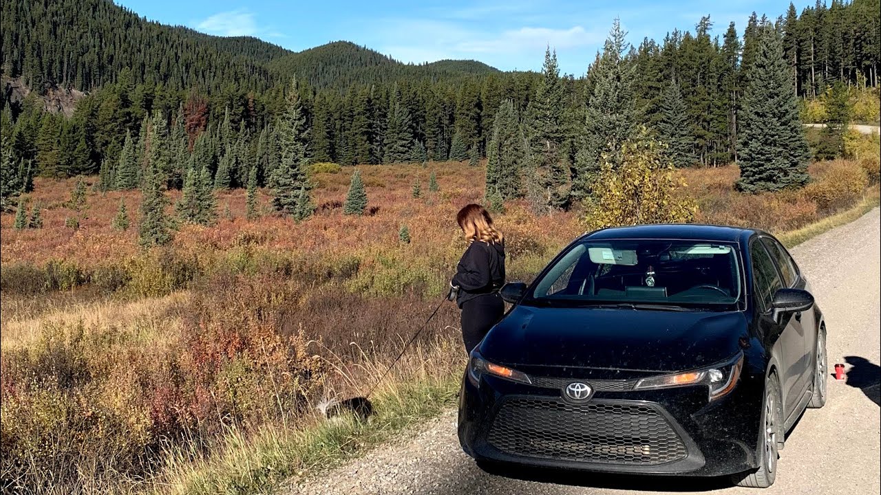Mechanic Owned 100k Vehicle Review: 2020 12th Gen Toyota Corolla LE 1.8L CVT