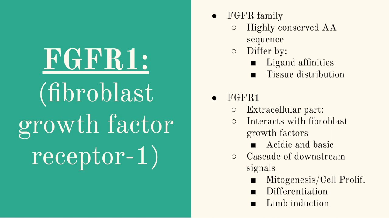 Chromosome 8: Hypogonadotropic Hypogonadism 2 With or Without Anosmia (HH2) Pt.2