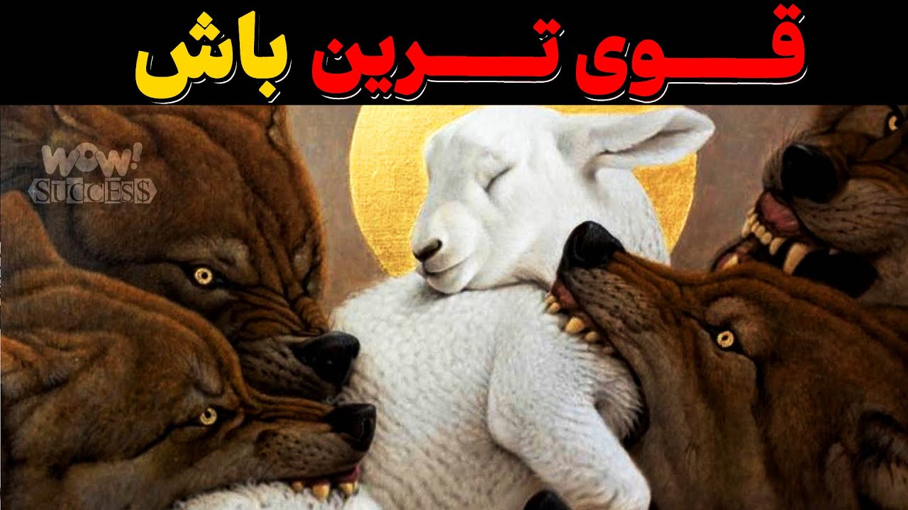 ای کاش زودتر این حقیقت را می فهمیدم : فلسفه بی رحمانه نیچه