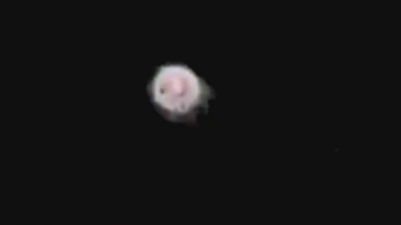 St Helens woman reports UFO sightings