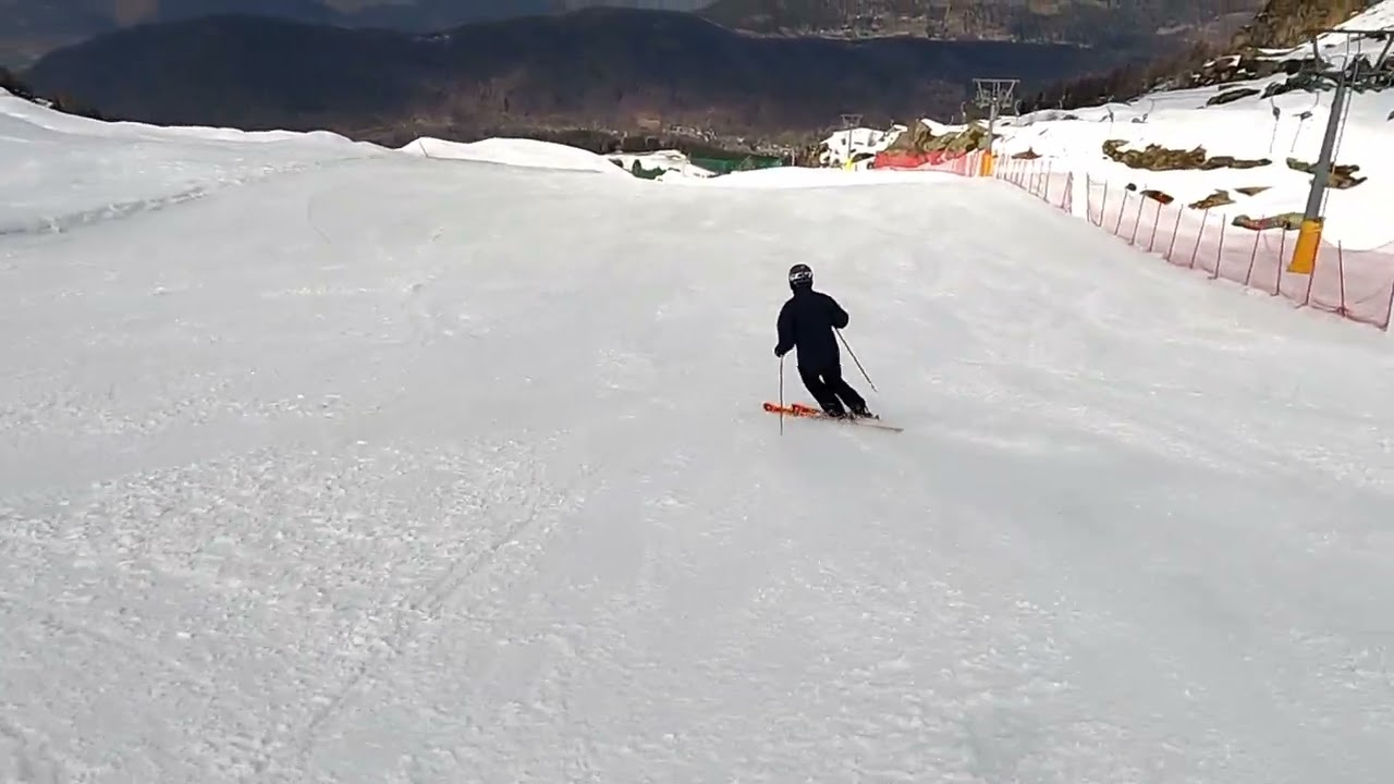 Aprica  2023