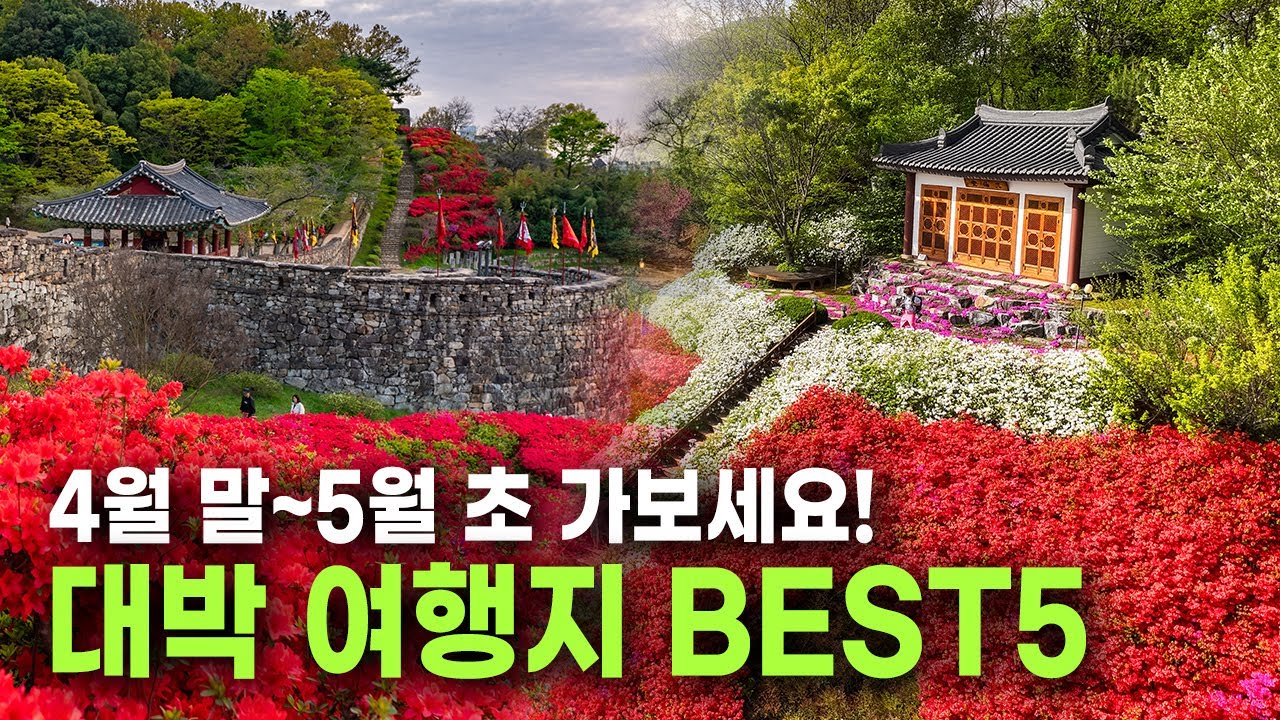 역대급 여행지 추천! 환상적인 꽃 여행지 BEST 5