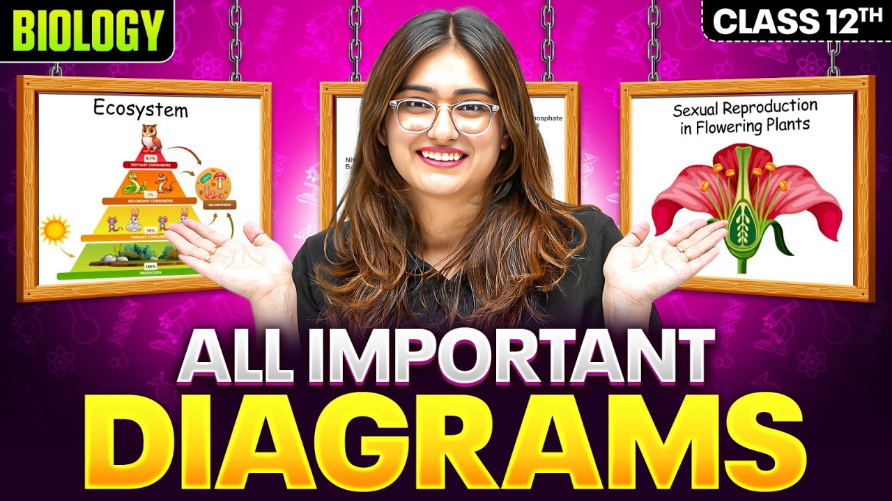 Class 12 Biology All Important Diagrams | Complete Revision for Board Exams 2026 By Aarushi Ma'am