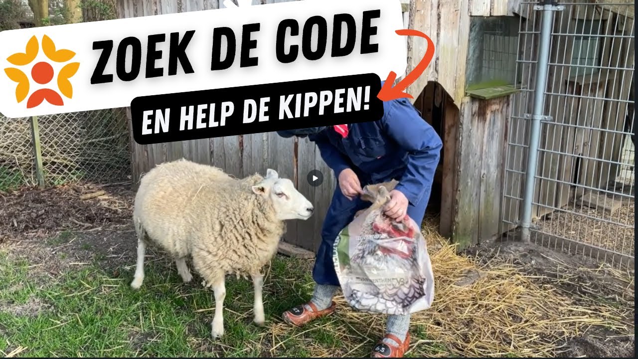 Zoek de code en help de kippen!