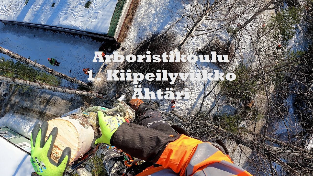 Arboristikoulu - 1. Kiipeilyviikko