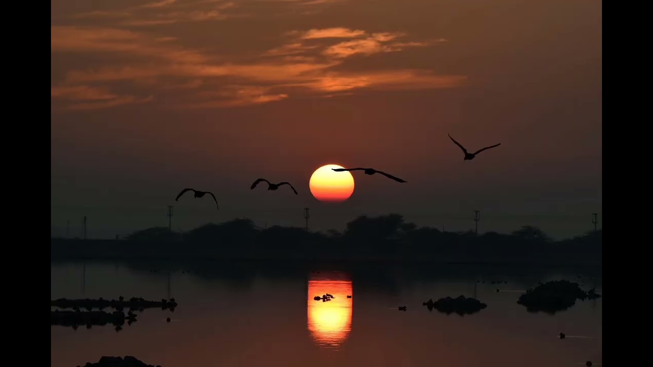 4K Sunset TV Wallpaper | 1 Hour Relaxing Ambient Background Loop (No Sound)